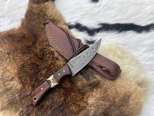 Load image into Gallery viewer, Introducing the Titan TK-060 Damascus Steel Skinner Knife with Rosewood &amp; Stag Grip