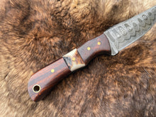 Load image into Gallery viewer, Introducing the Titan TK-060 Damascus Steel Skinner Knife with Rosewood &amp; Stag Grip