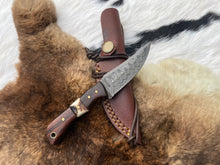 Load image into Gallery viewer, Introducing the Titan TK-060 Damascus Steel Skinner Knife with Rosewood &amp; Stag Grip