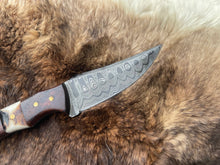 Load image into Gallery viewer, Introducing the Titan TK-060 Damascus Steel Skinner Knife with Rosewood &amp; Stag Grip