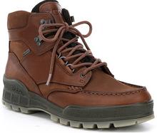 Load image into Gallery viewer, Ecco Mens Track 25 High Top Waterproof Hiking Boot